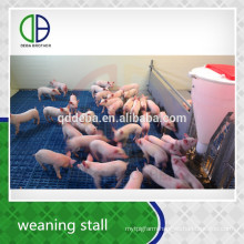 Livestock Equipment Pig Weaning Stall Pig Pen